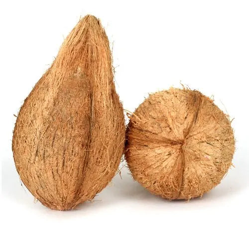 Fresh Coconut with hair 1pc