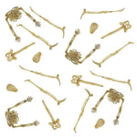 20 Mini Skelettteile +/- 9 cm | Knochenweiß - Halloween Dekoration