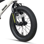 AVASTA 12 Inch Little Kids Bike - Gemini