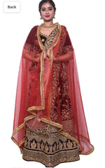 Women's net stone work shimmer lace dupatta