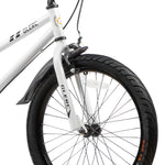 Glerc 20 Inch Kids Bike-Fantacy