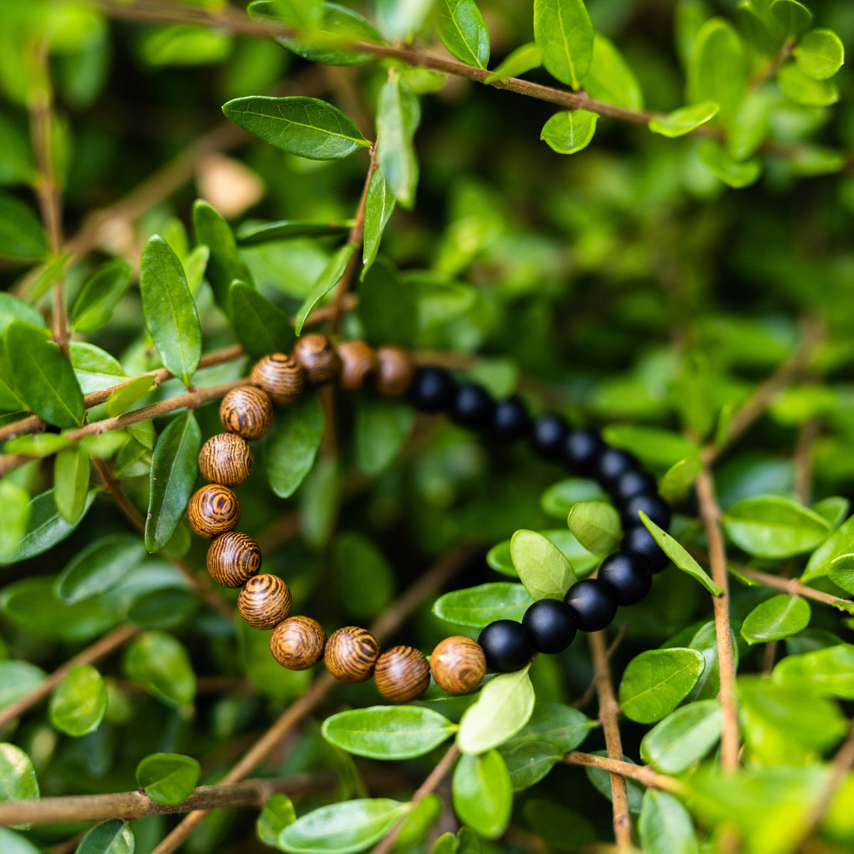 Zedernholz Armband