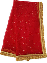 Women's net stone work shimmer lace dupatta