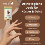 Bio Chaga Kapseln