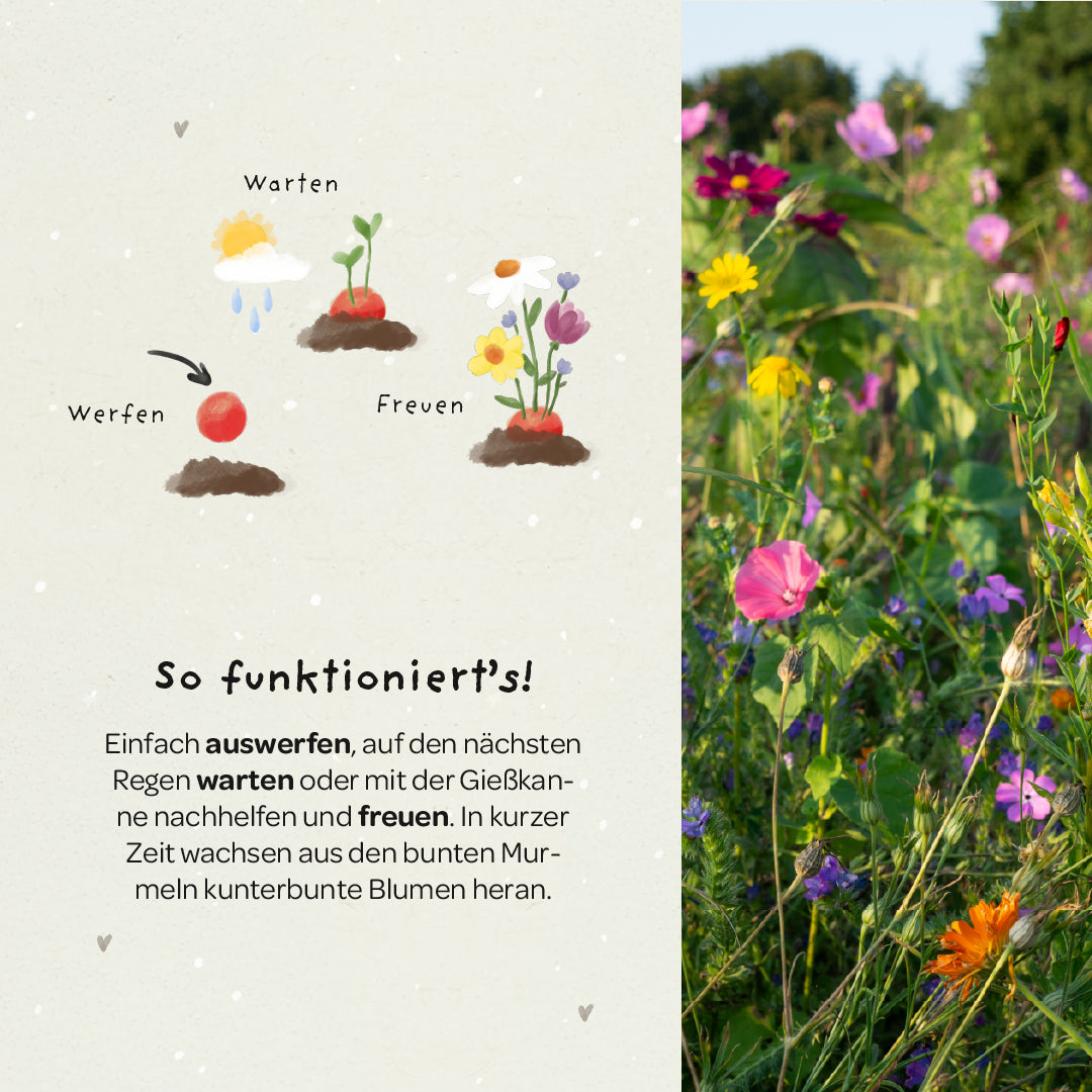 5 Blumenmurmeln im Tütchen zur Einschulung "Du bist 1. Klasse"