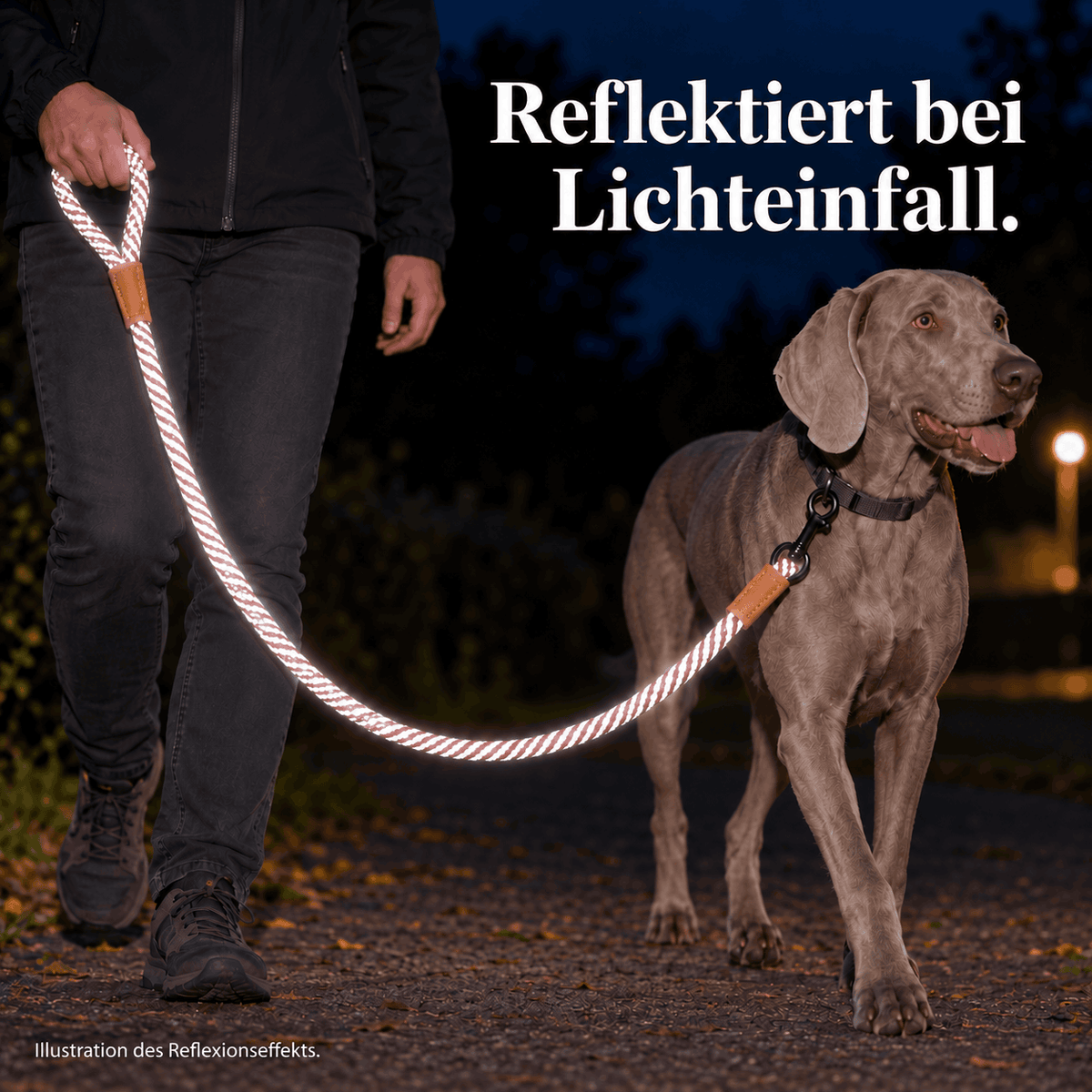 Reflektierende Hundeleine© mit Handschlaufe und veganem Leder in 4 Farben und Varianten Namma Markt