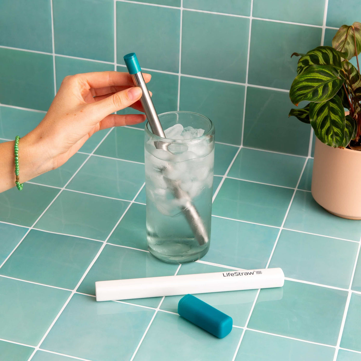 LifeStraw Sip 3-pack (multi color)