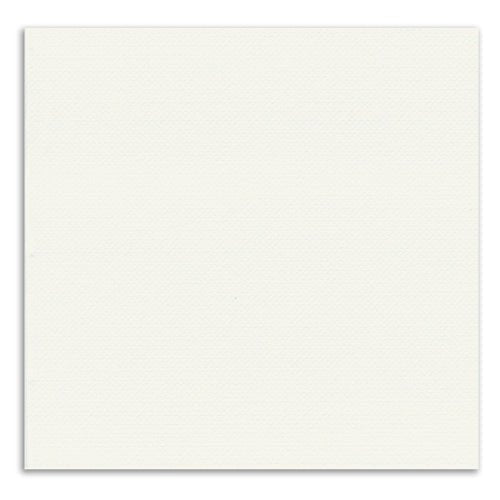 PAPSTAR Servietten 1/4-Falz, 33x33 cm, weiß, 2-lagig | Folie (50 Stück)