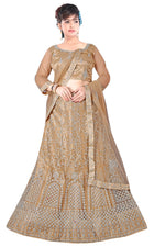 Complete Stitched Embroidered Lehenga Choli In Germany (Brown)/Bridal Lehenga In Munich