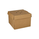 PAPSTAR 20 Burgerboxen, Pappe "pure"