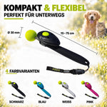ClickStick für Hunde & Katzen – Target Stick mit abnehmbarem Clicker | ASCO