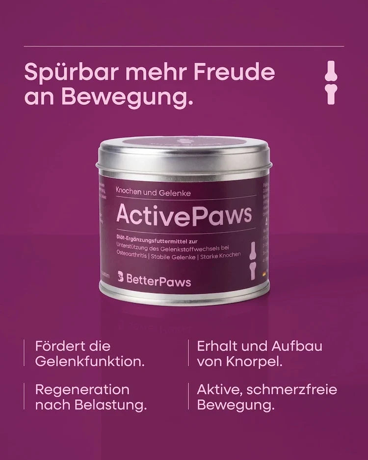 ActivePaws