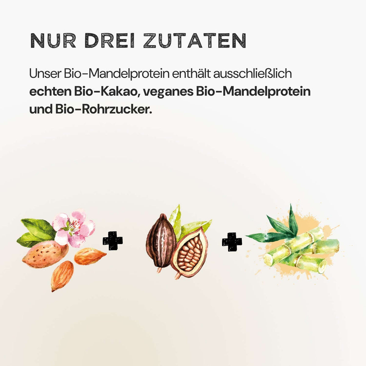 Almond Protein - Cacao