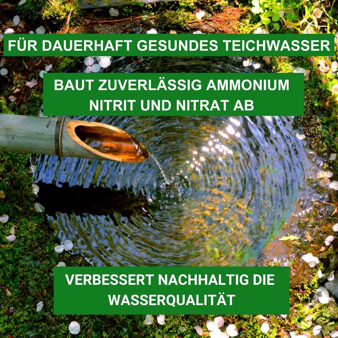 Aqua Micro Dry - Teichbakterien