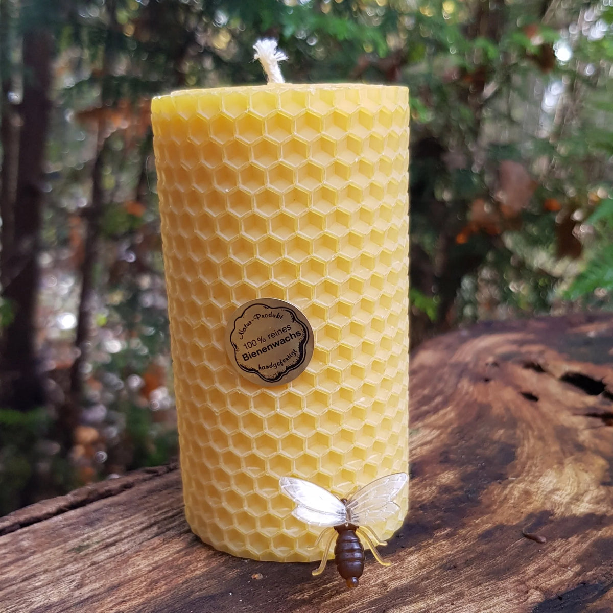 Gedrehte Bienenwachskerzen