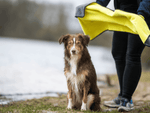 Handtuch BUDDY für Hunde Namma Markt