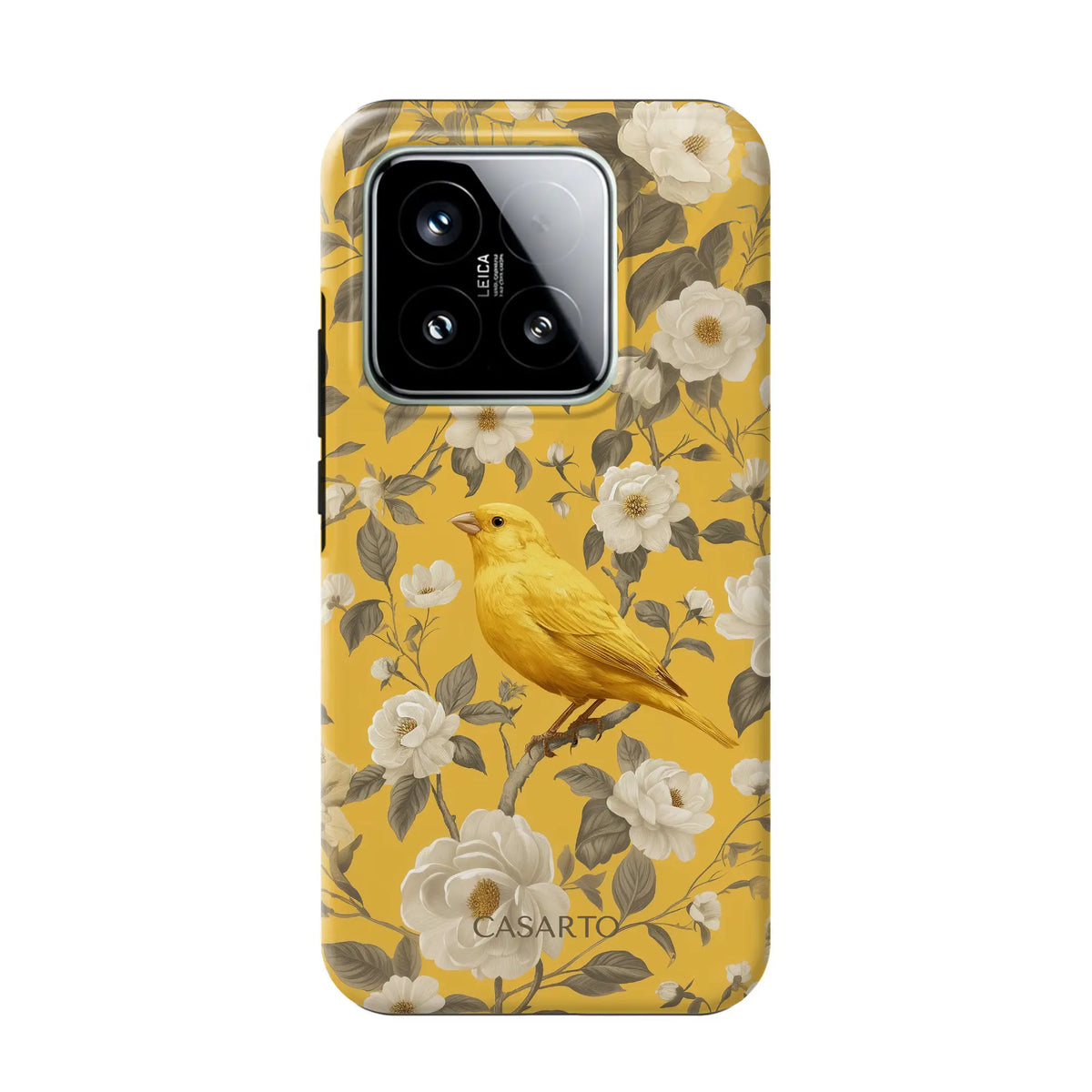 Bird Garden