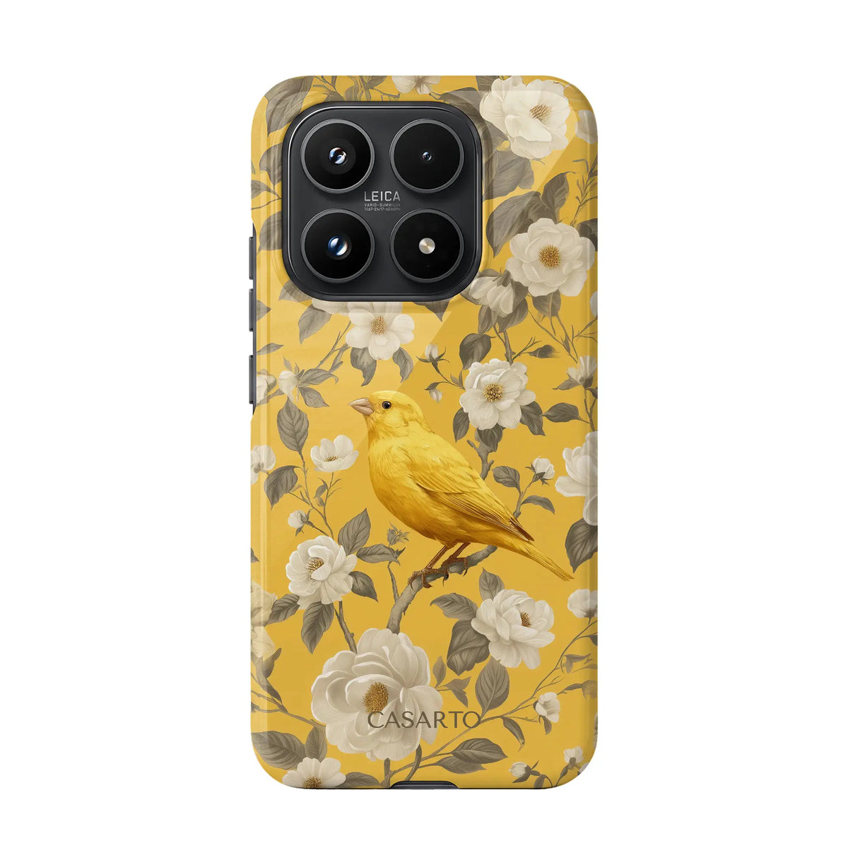 Bird Garden