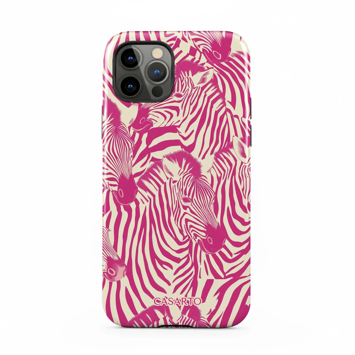 Zebra Chic
