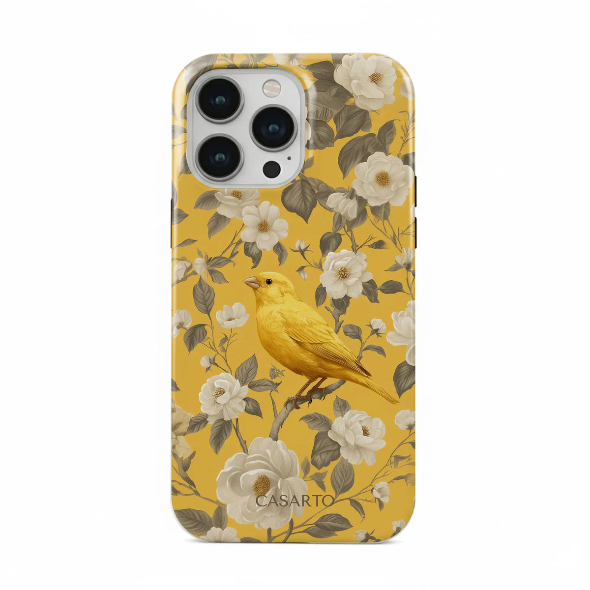 Bird Garden