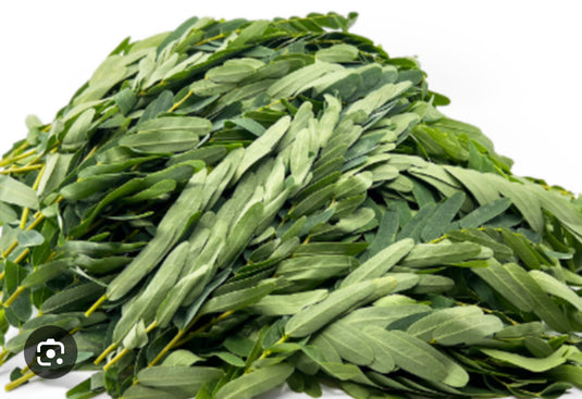 Agathi Leaves (Agase Soppu)