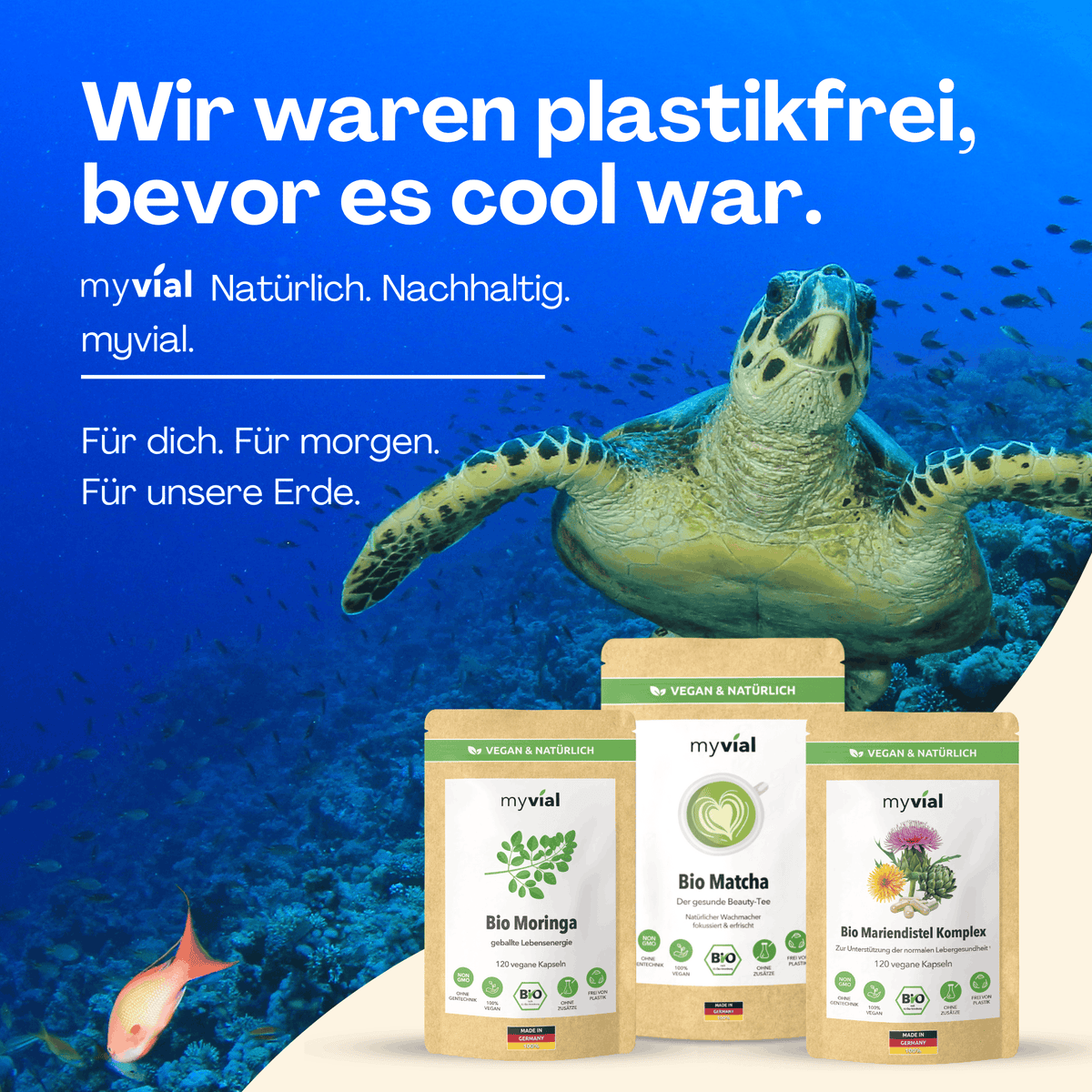 Bio Chaga Kapseln