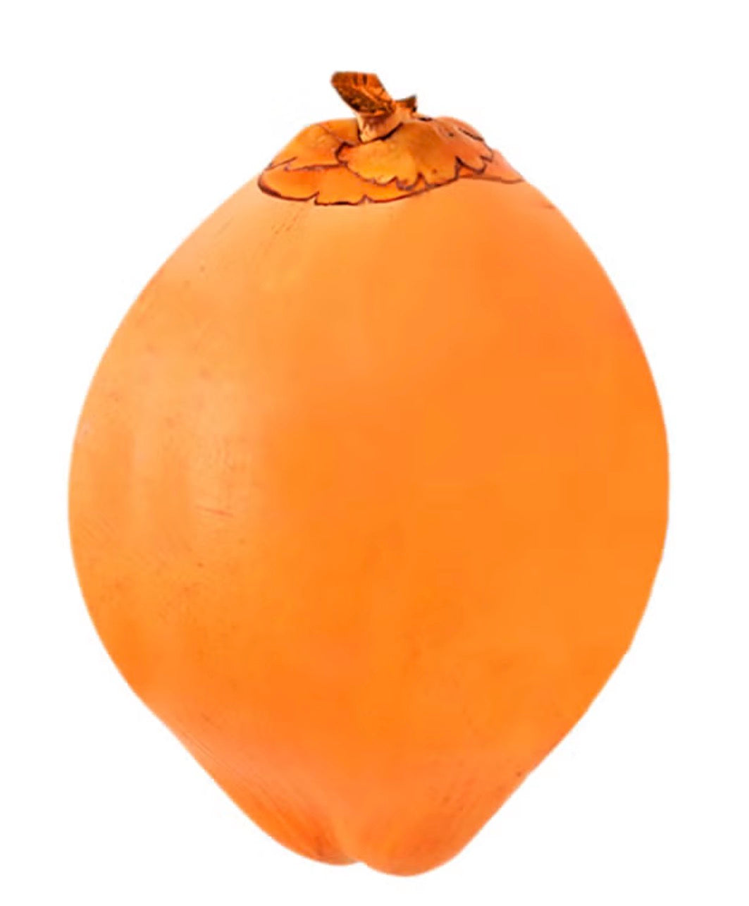 Tender Coconuts - ( Needs Pre Order notice - 1 month ) product image 3