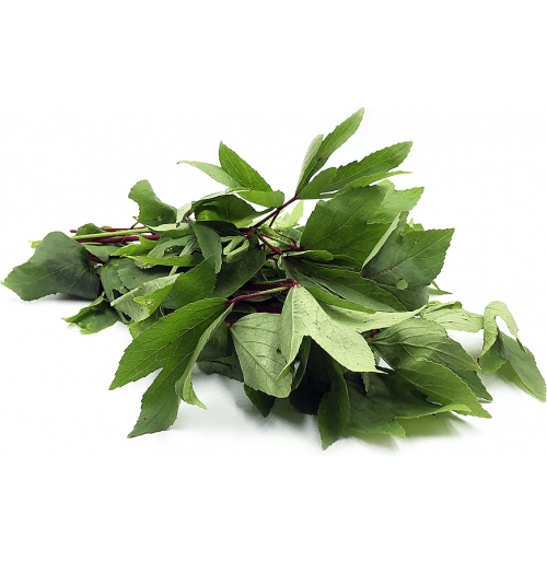 Gongura leaves 1 bunch