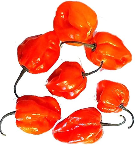Hot Pepper Chilli 100g