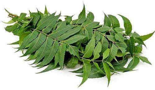 Neem Leaves -1 pack