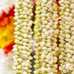 Jasmine Strings - 1m Length product image 1
