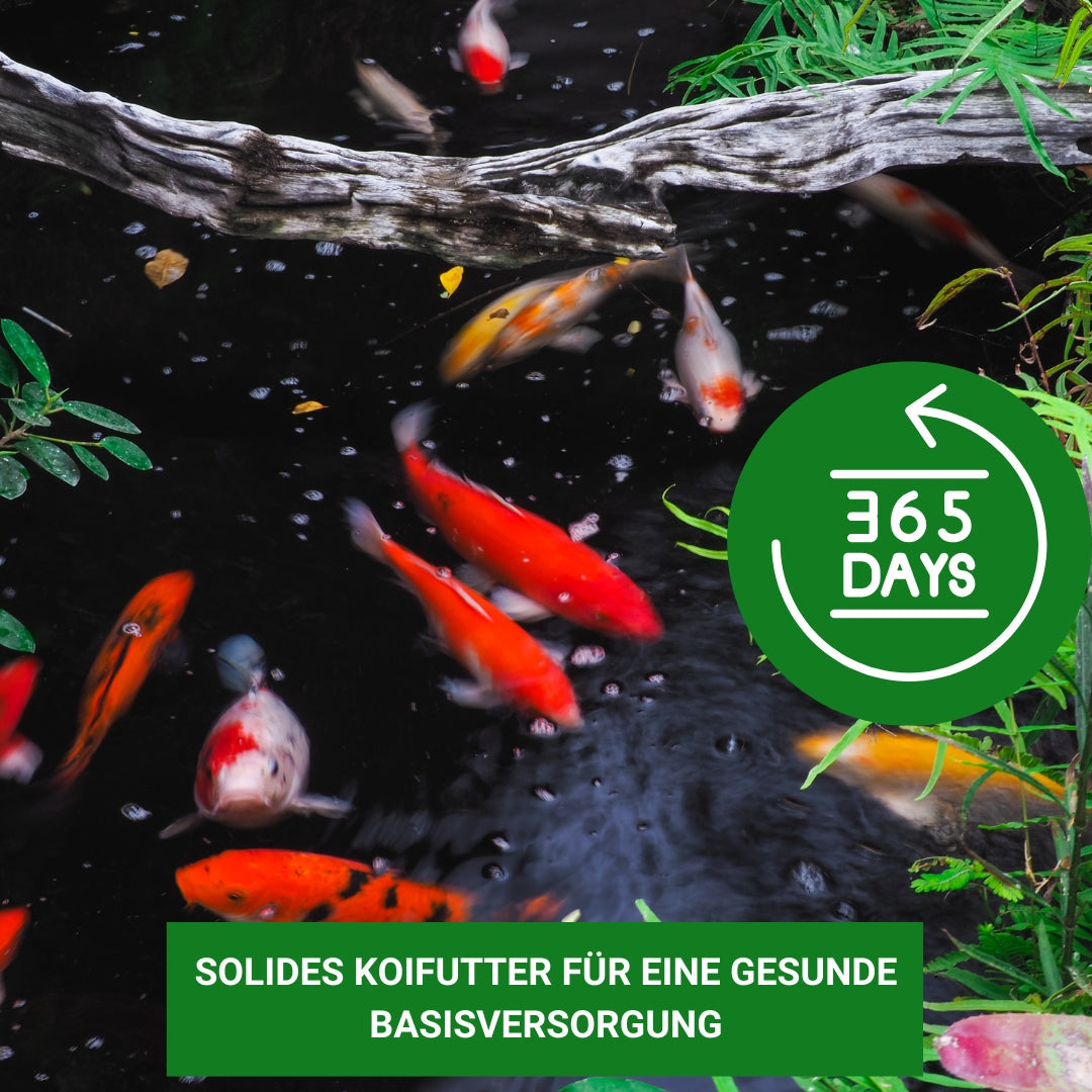 KENKOU® Mix your Food - Koifutter selbst zusammenstellen