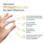 Gelenke+