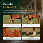 Gelenke+