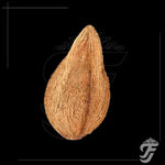 Pooja Coconuts product image 1