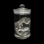 Trex Embryo Alien Gadget