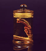 Xenomorph Larva Art Poster