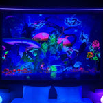 Night UV Schwarzlichtposter