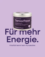 SeniorPaws