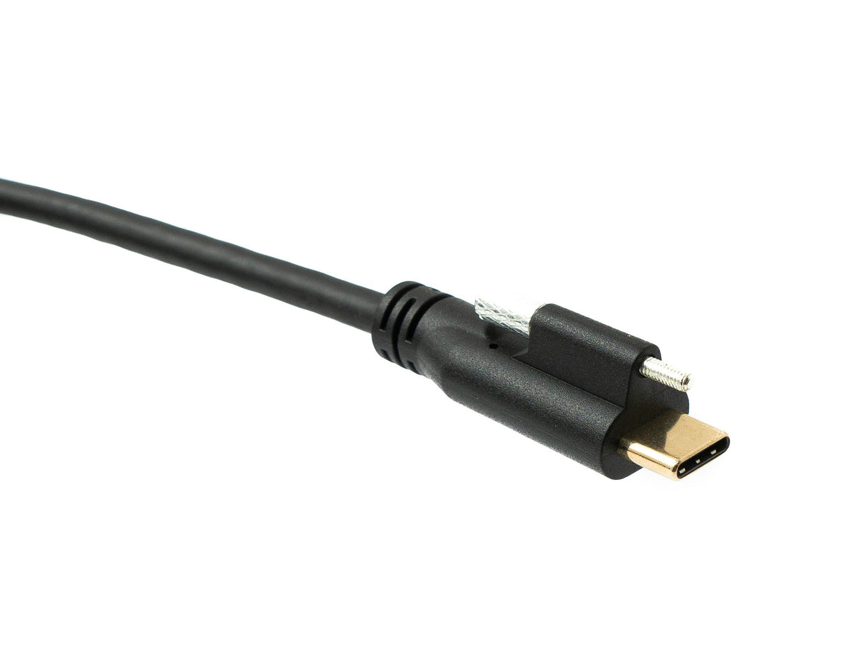 USB 3.1 Gen 2 Kabel 2 m Typ C Stecker zu Stecker Panel Mount 10 Gbit/s 100W | System-S