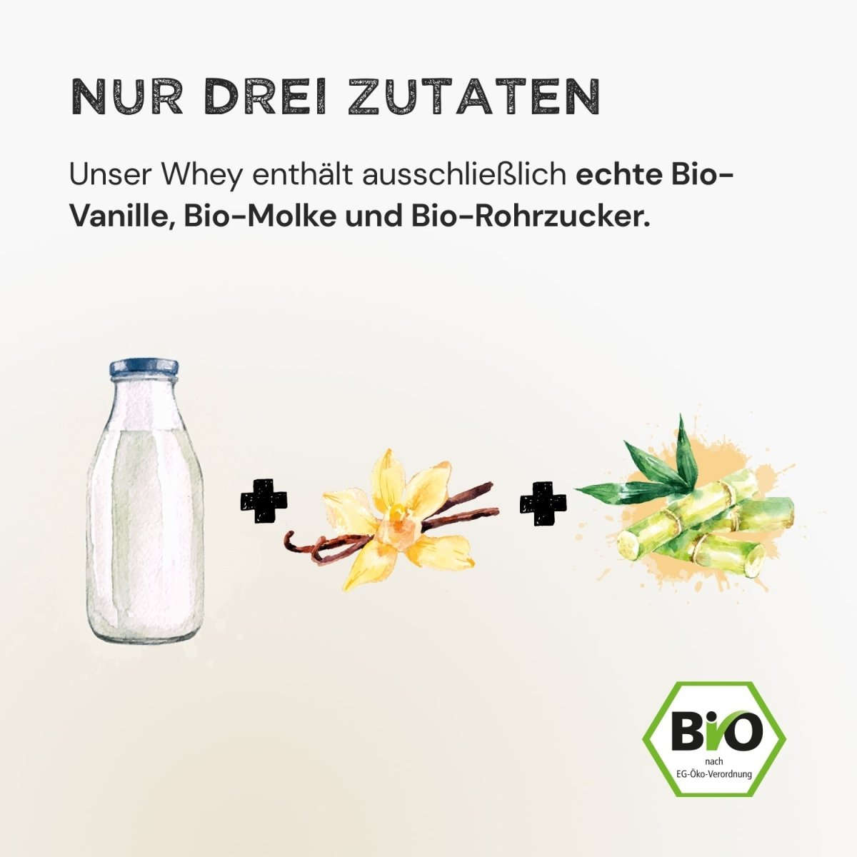 Whey Protein - Vanilla
