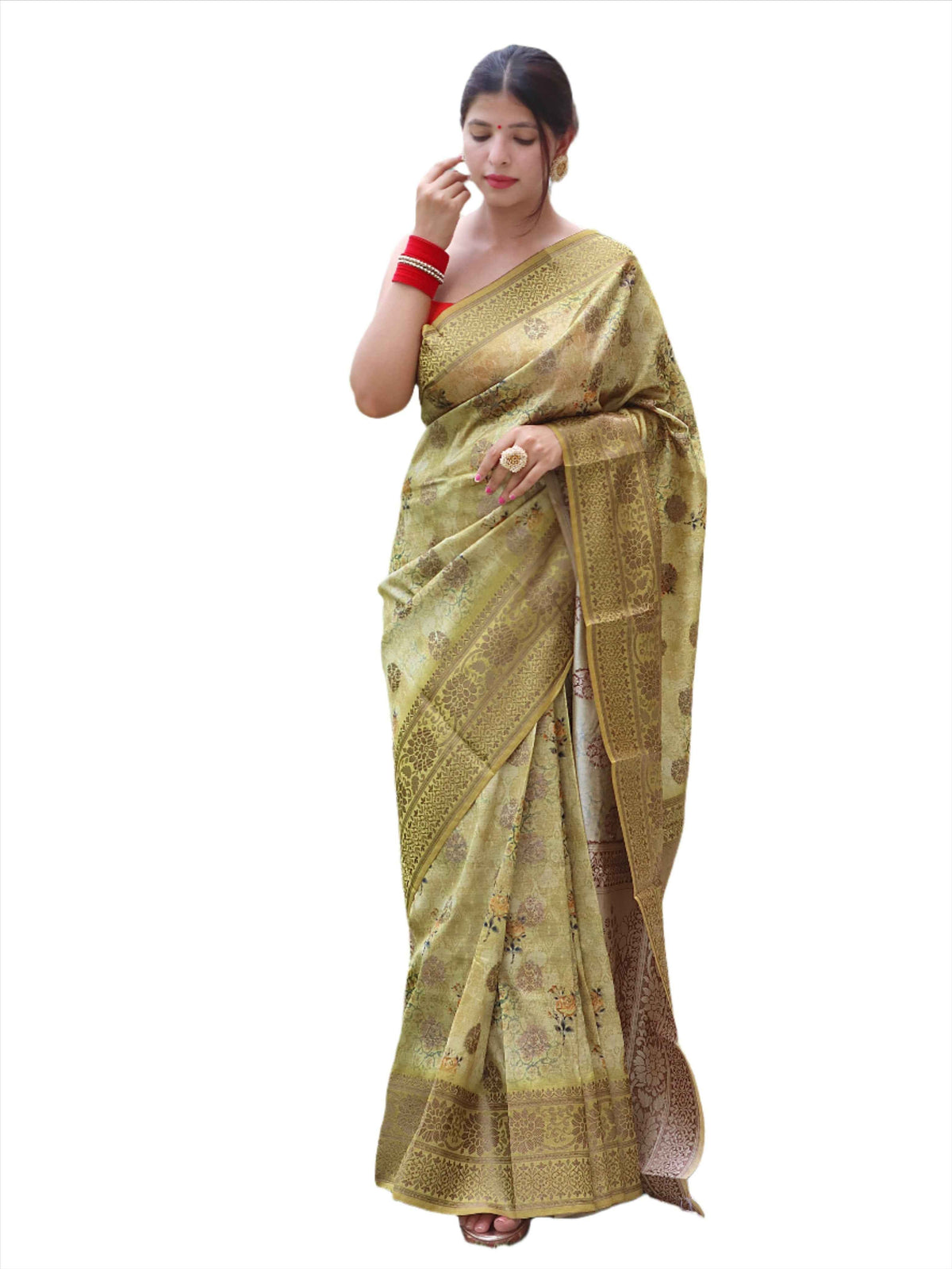Indian silk saree in Germany