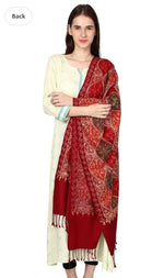 Kashmiri Stole for Women Aari Embroidery Matka Jaal in Germany