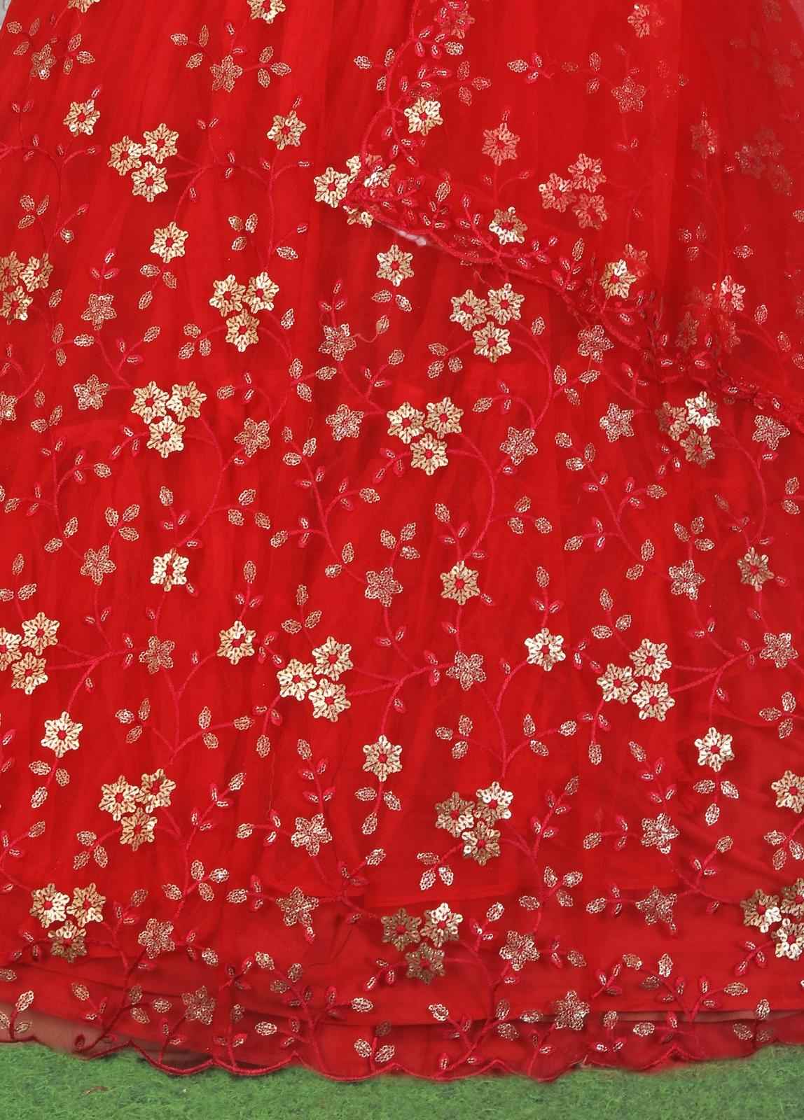 Beautiful Embroided net Lehanga in Berlin