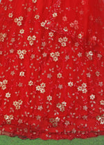 Beautiful Embroided net Lehanga in Berlin