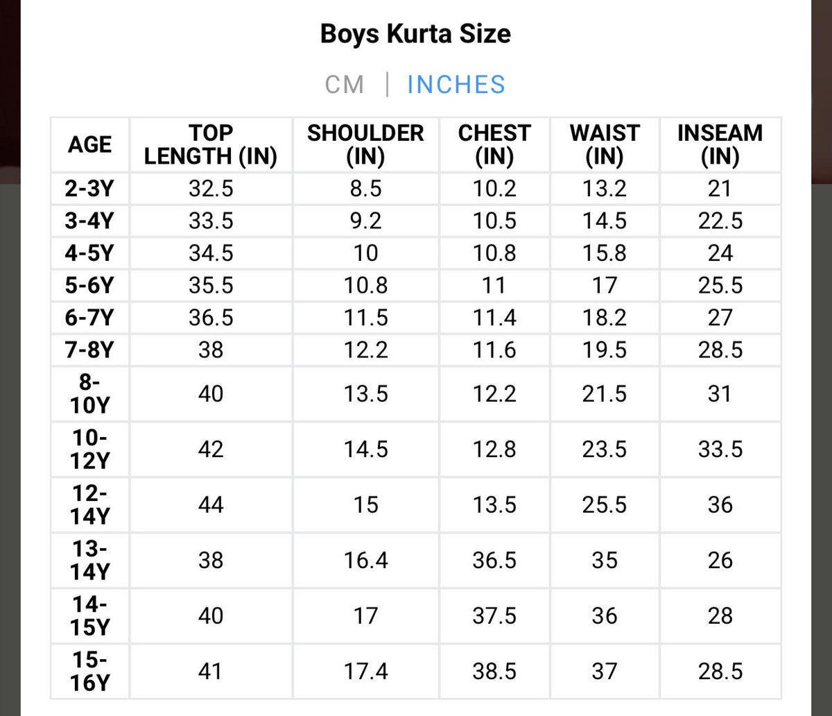 Boys Embroidered Regular Kurta with Pyjamas in Munich