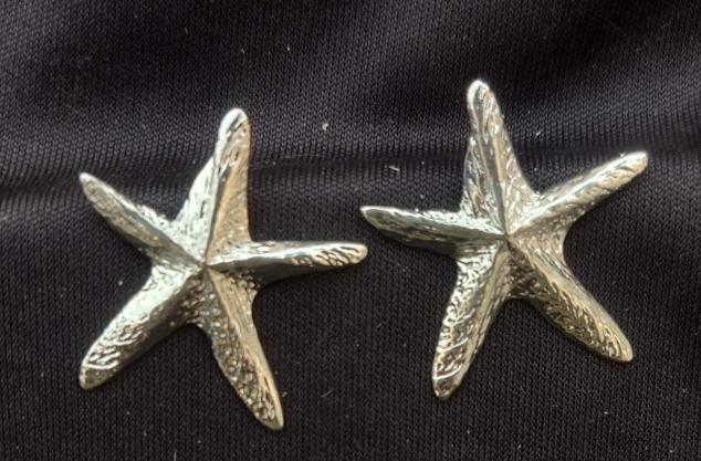 Contemporary Brass Handmade Silver Plated Mother of Pearl Star Earring in Munich
