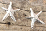 Contemporary Brass Handmade Silver Plated Mother of Pearl Star Earring in Munich