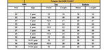 Pakistani-style embroidered kurti and palazzo set in Germany