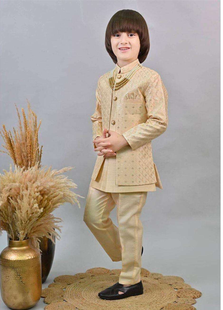Silk Sequins Embellished Threadwork Detailed Sherwani With Pant & Necklace Set in Germany Namma Markt